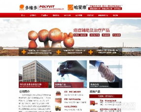 哈尔滨老王网络公司 一站式网络建设与推广服务，助您决胜数字时代